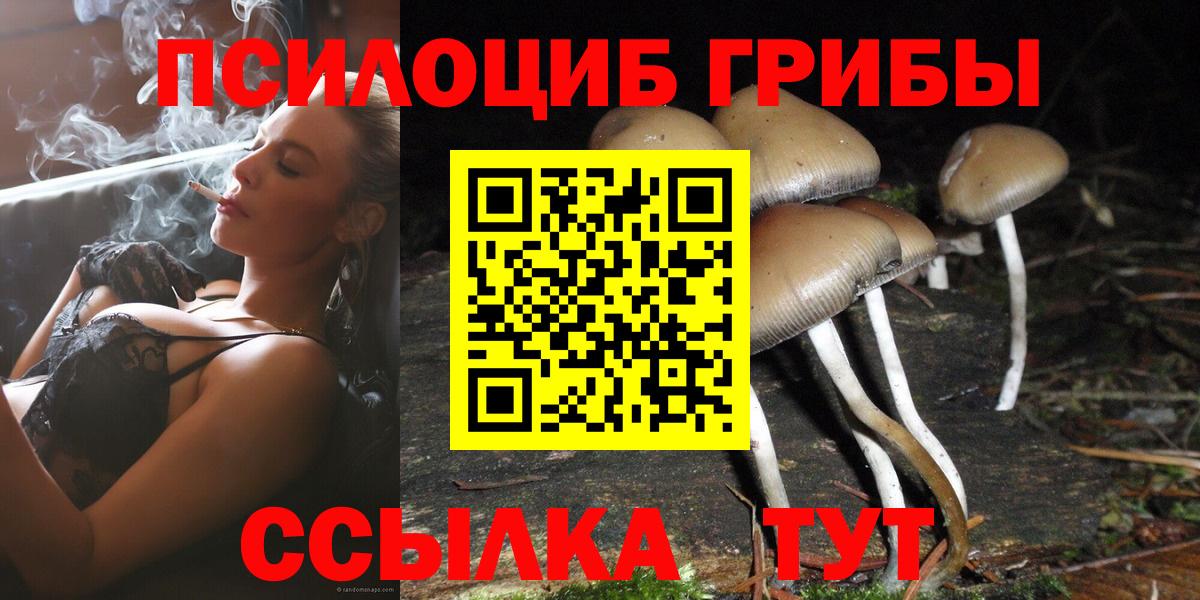 Псилоцибиновые грибы MAGIC MUSHROOMS Барнаул