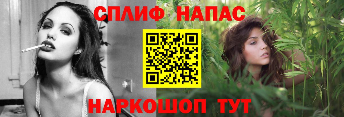 Марихуана план  Каннабис Ganja  Бошки Шишки планчик  Барнаул  Бошки Шишки гибрид 